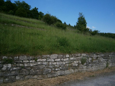 geigersberg mai 17 017.JPG
