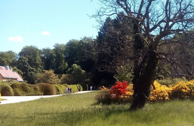 Wolfsgarten Hecke.JPG