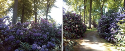 Wolfsgarten Rhodos b.JPG