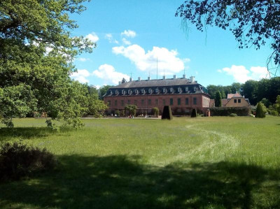 Wolfsgarten Wiese.JPG