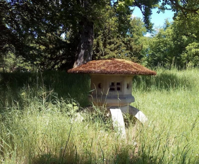Wolfsgarten Pilz.JPG