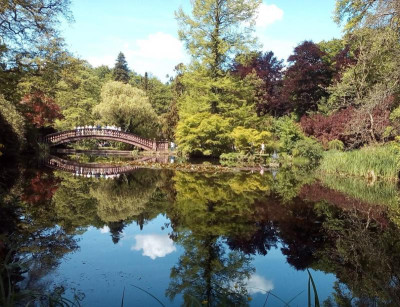 Wolfsgarten Teich.JPG