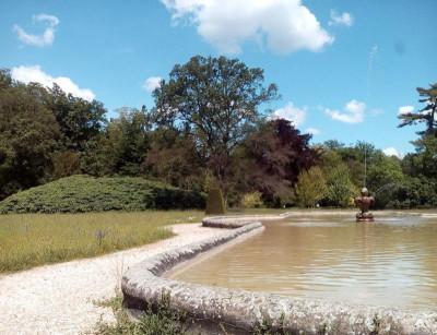 Wolfsgarten Wasser.JPG