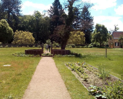 Wolfsgarten Gemüse.JPG