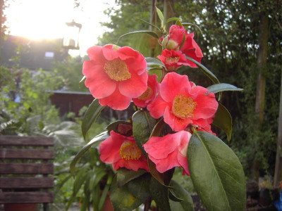 PICT1730.JPG