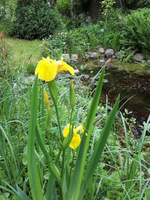 20170524_091221.jpg
