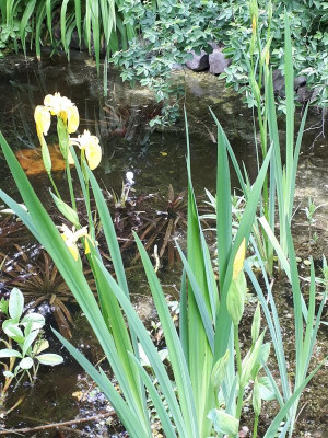 20170524_091238.jpg