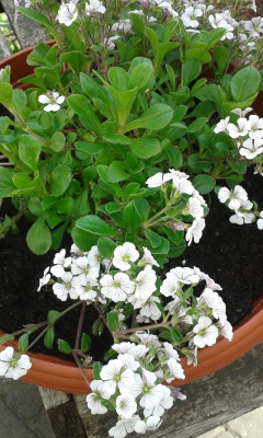 20170525_173424.jpg