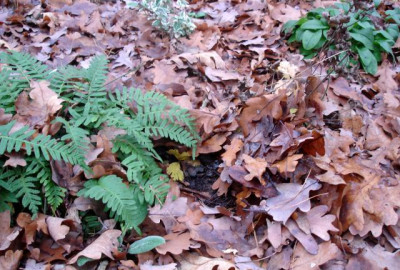 new_DSC02682.jpg