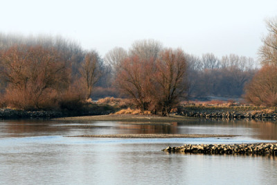 Dezember-Donau-15.jpg