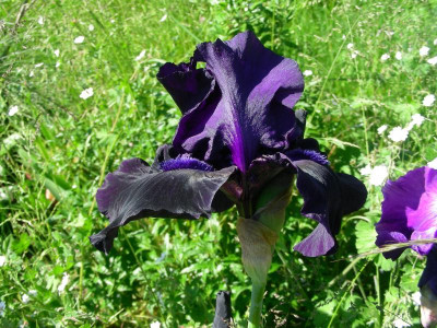 DSCN9236.JPG