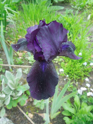 DSCN5247_klein.jpg
