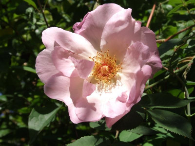 DSCF3902.JPG