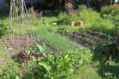 Gemüsegarten - Beete-01.JPG