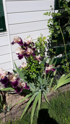 20170527_112219.jpg