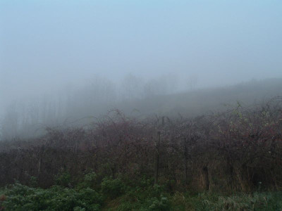 Nebel_002.jpg