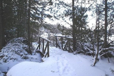 Copy_of_bridge_to_the_lake.JPG