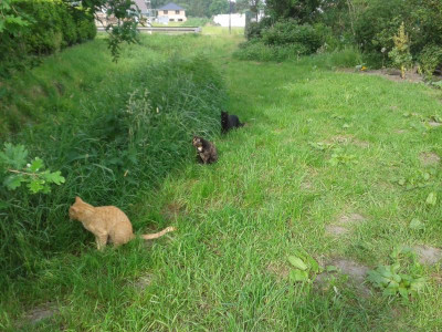 20170529_084054.jpg