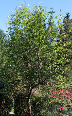 IMG_ß656.jpg
