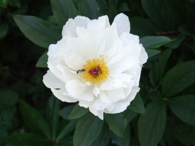 DSCF3970.JPG