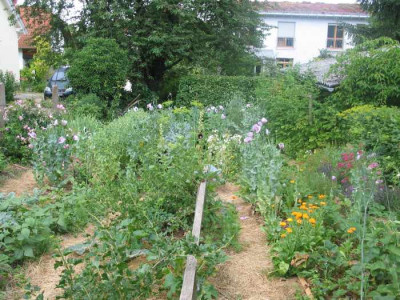 Gemusegarten_kleiner.jpg