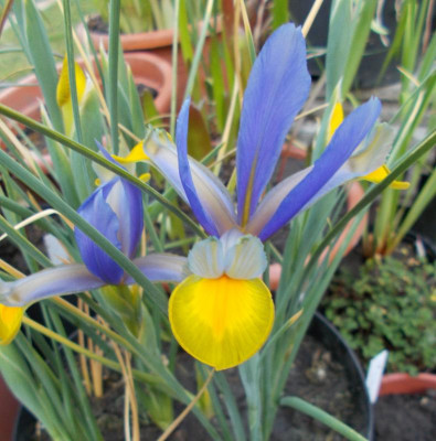 2017-05-28 20.26.47.jpg