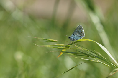 DSC020942.jpg