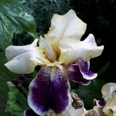 20170530_065516.jpg