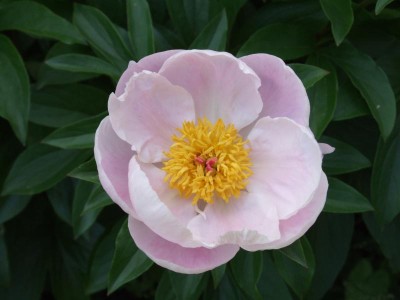 DSCF3980.JPG