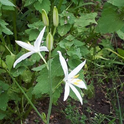 20170530_071909.jpg