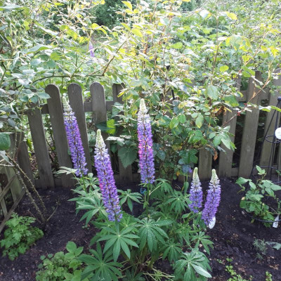 20170530_065700.jpg