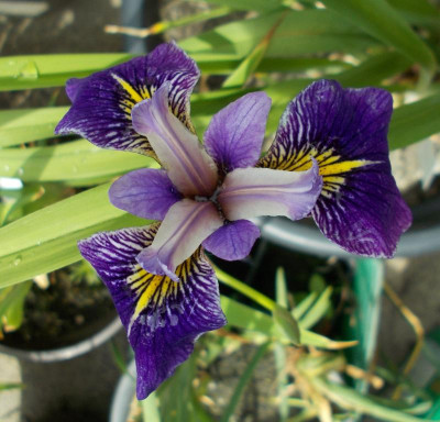 2017-05-30 10.28.43.jpg