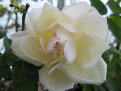 IMG_0053.JPG
