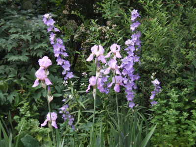 DSCF3998.JPG
