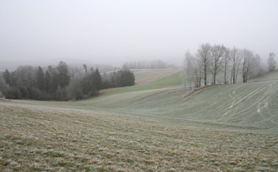 Nebelweihnacht-3.jpg
