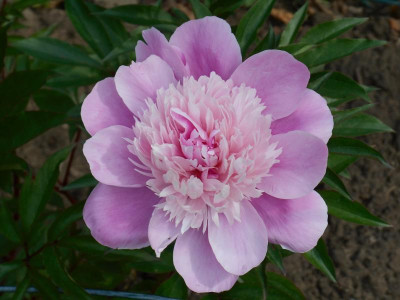 DSCN1315.JPG