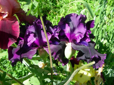 DSCN9291.JPG
