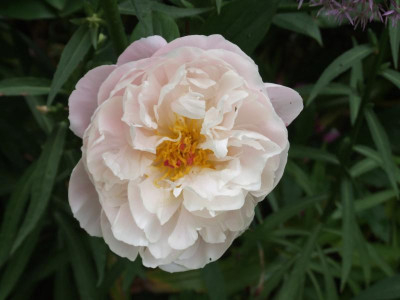 DSCF3985.JPG