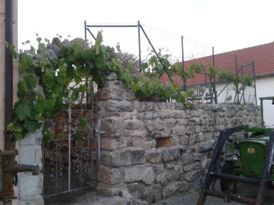 20170525_210816.jpg