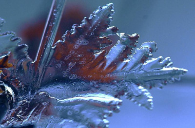 Eisschmetterling_Kristall_3_24-12-2006.jpg
