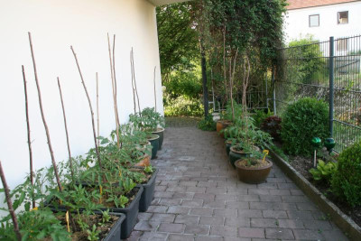 Juni0917.JPG