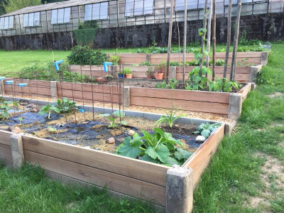 2017-06-01 20.38.07.jpg