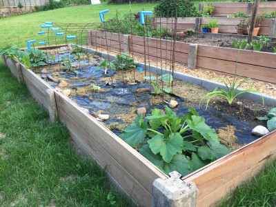2017-06-01 20.36.42.jpg