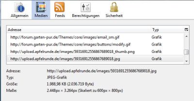 Screenie Foto.jpg