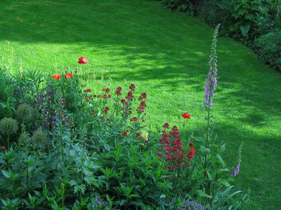 Sonniger_Abend.jpg