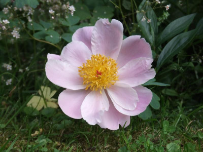 DSCF4036.JPG