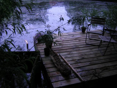 N1004.jpg