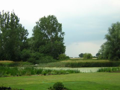78.jpg