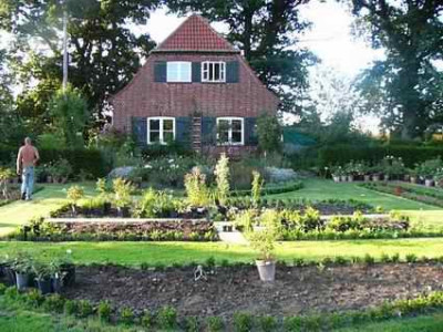 81.jpg
