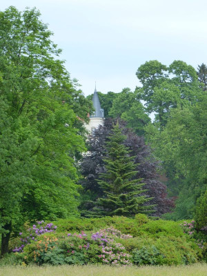 2017-06-03 Schlosspark Wiesenburg 3.jpg